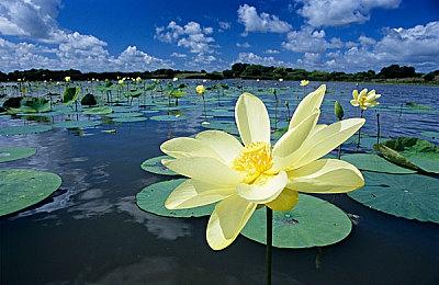 《剑星》新服装4K壁纸 设计灵感或来自尹雪花服装